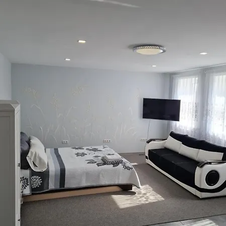 Birutes Apartamentai Apartment Klaipeda