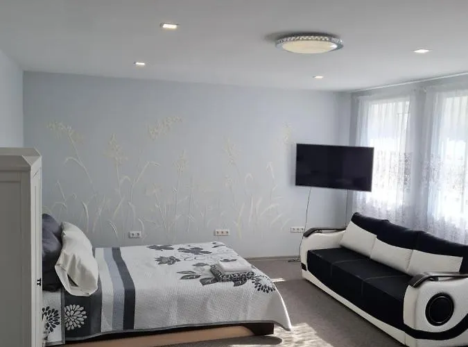 Birutes Apartamentai Apartment Klaipeda